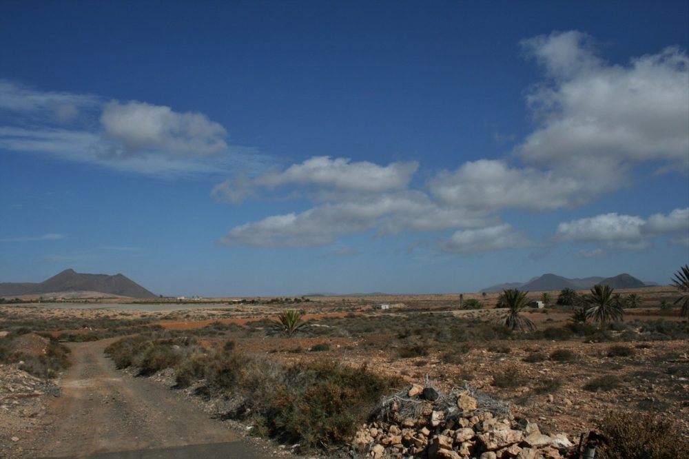 Land Tuineje Fuerteventura For Sale 0046 1