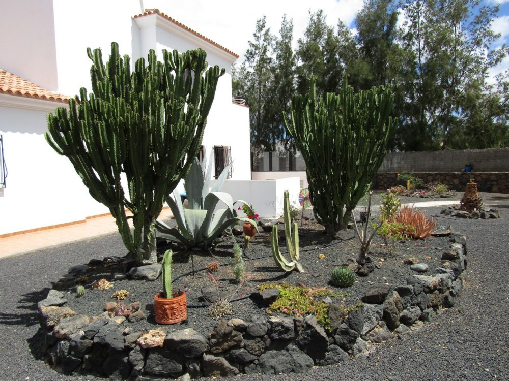 Villa Lajares Fuerteventura For Sale 615 0034