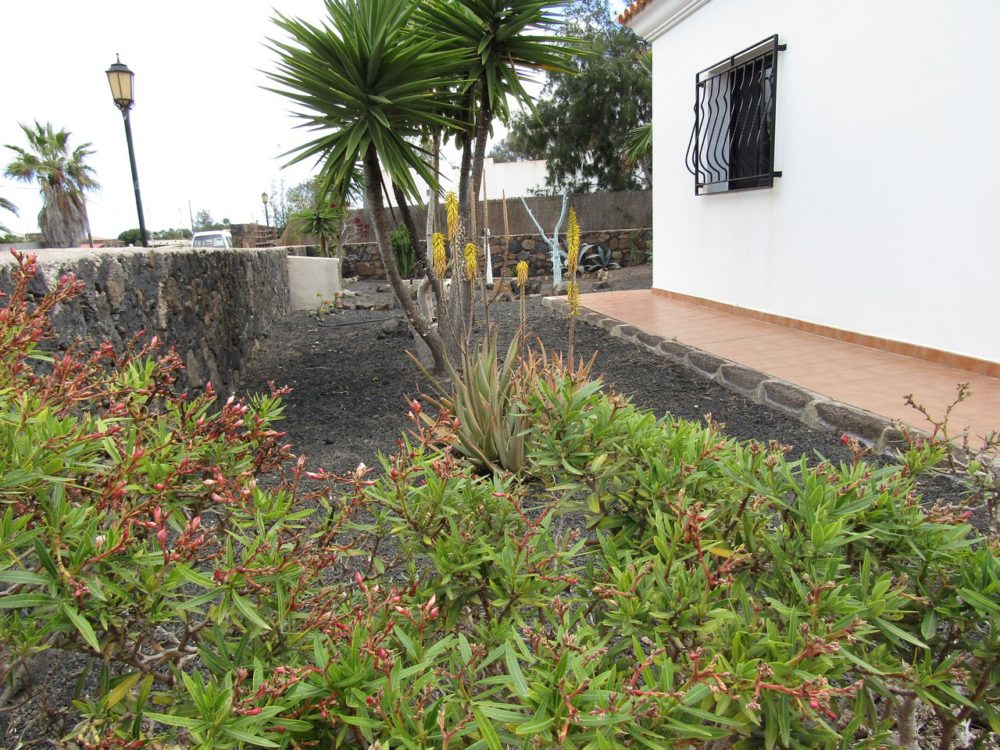 Villa Lajares Fuerteventura For Sale 615 0039