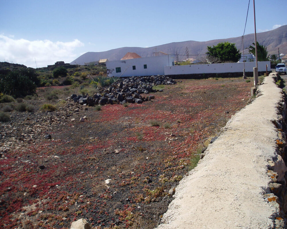 Land La Oliva Land Fuerteventura for sale 0071 3