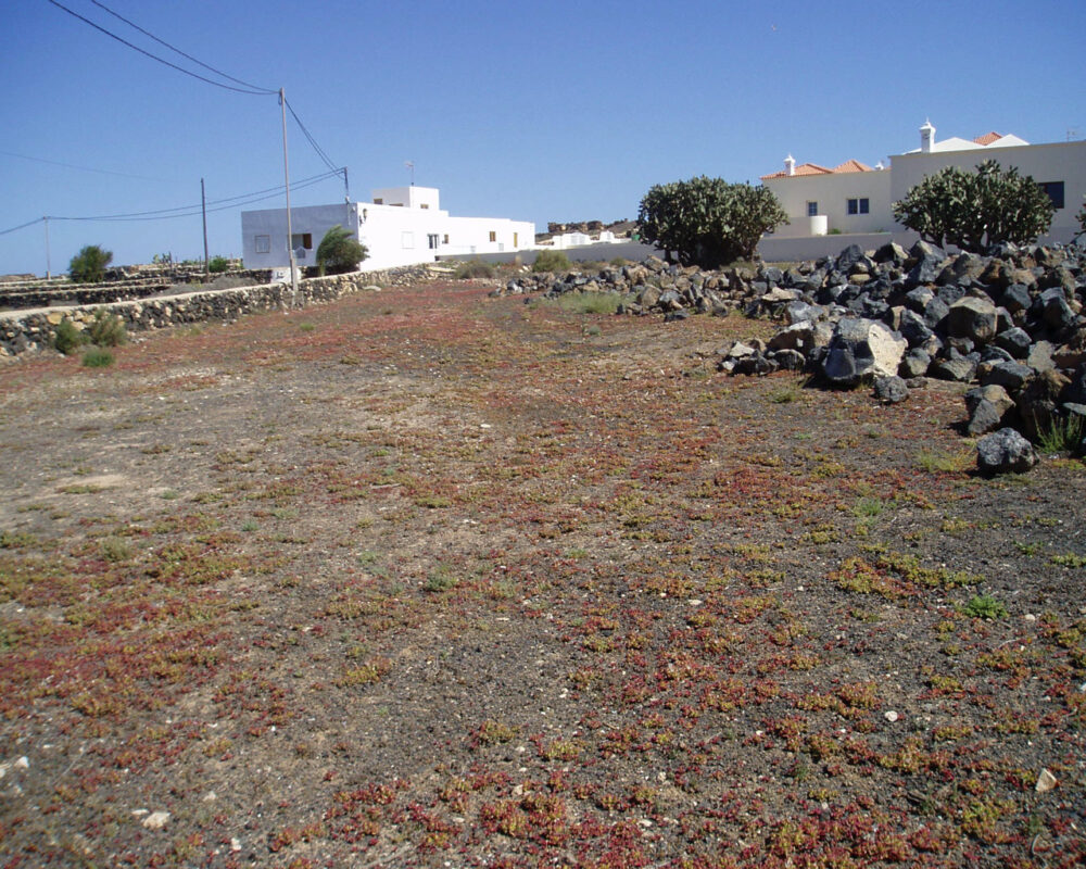 Land La Oliva Land Fuerteventura for sale 0071 8