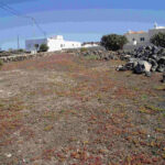 Land La Oliva Land Fuerteventura for sale 0071 9