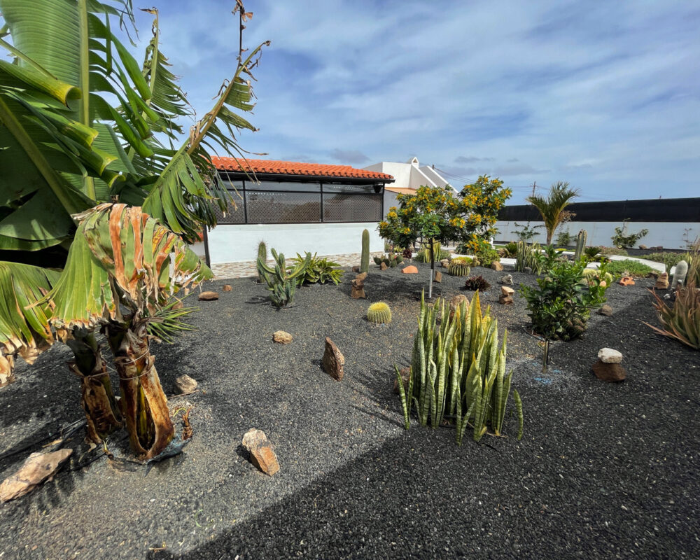 Villa Villaverde Fuerteventura For Sale 700 16