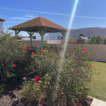 Villa for sale La Oliva Fuerteventura For Sale 737 22