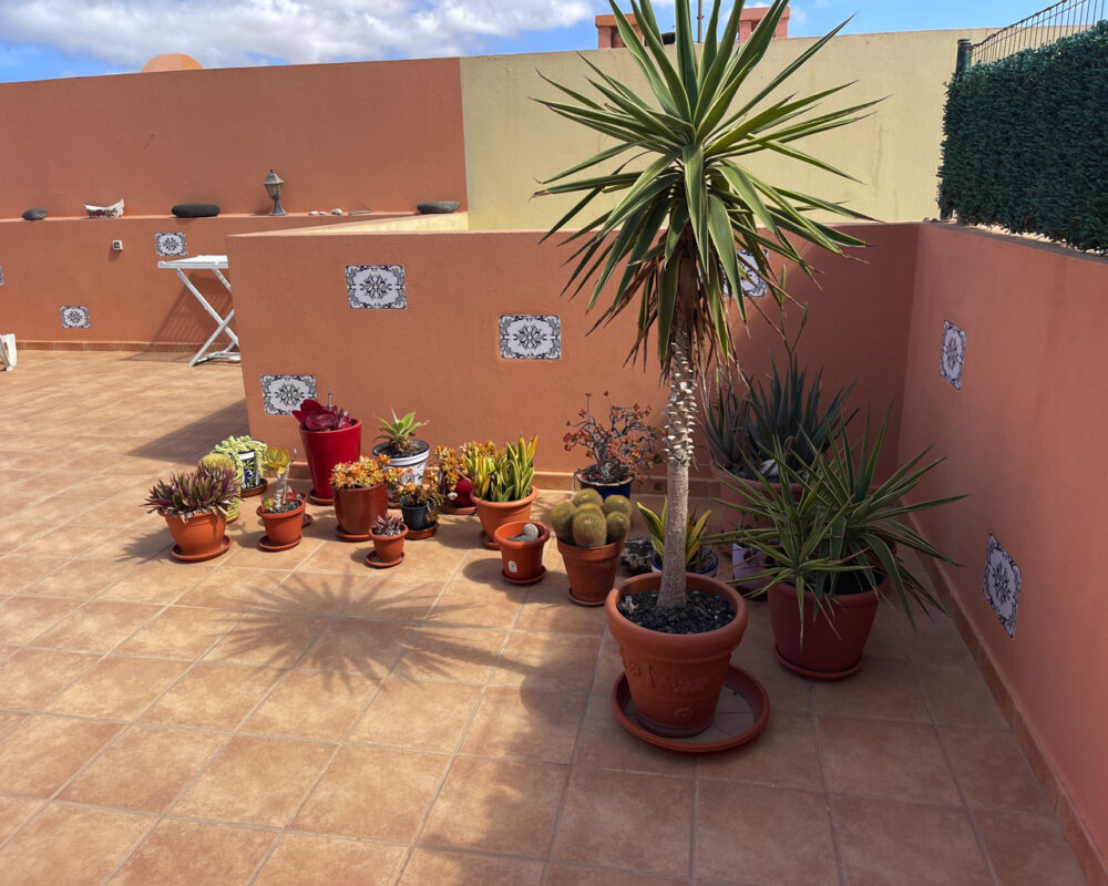 Apartment Casa Pastel El Cotillo Fuerteventura For Sale 739 27