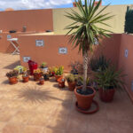 Apartment Casa Pastel El Cotillo Fuerteventura For Sale 739 27