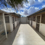 Villa for sale fuerteventura 742 30