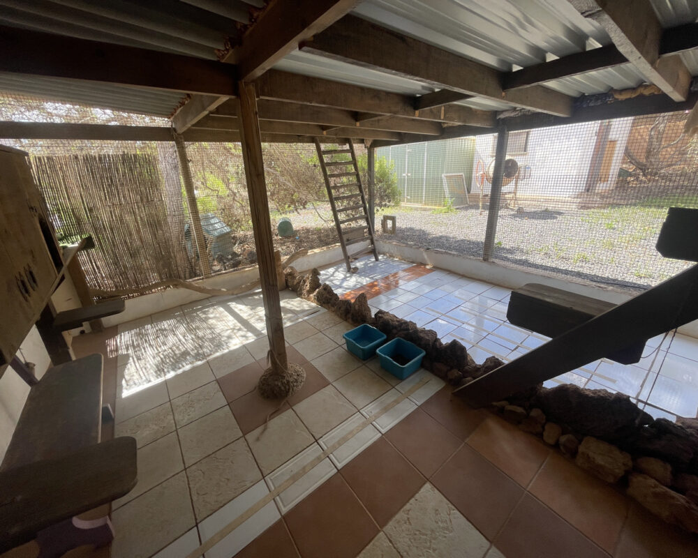 Villa for sale fuerteventura 742 32