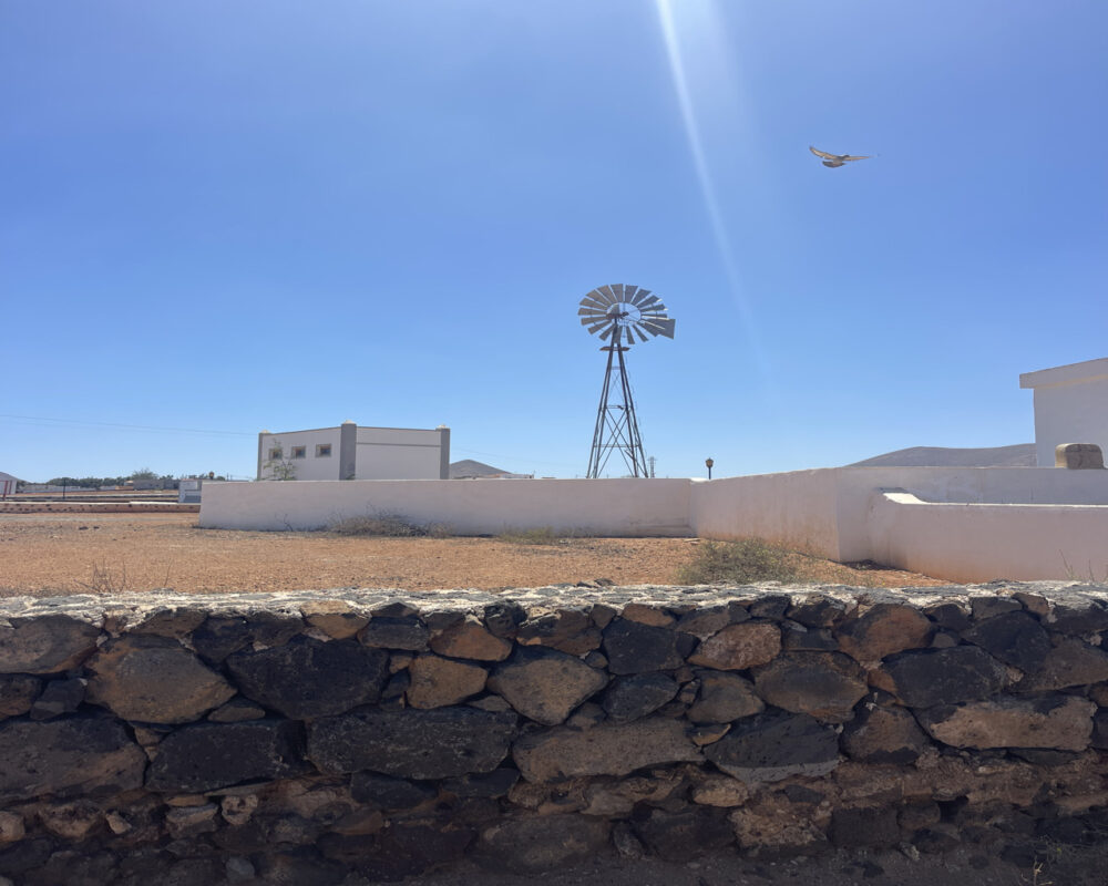 Land La Oliva Fuerteventura For Sale 0086