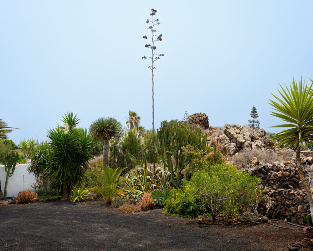 Villa Lajares Fuerteventura for sale 766 30