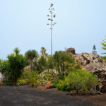 Villa Lajares Fuerteventura for sale 766 30