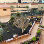 Duplex Vista Las Olas Corralejo Fuerteventura for sale 774b 3