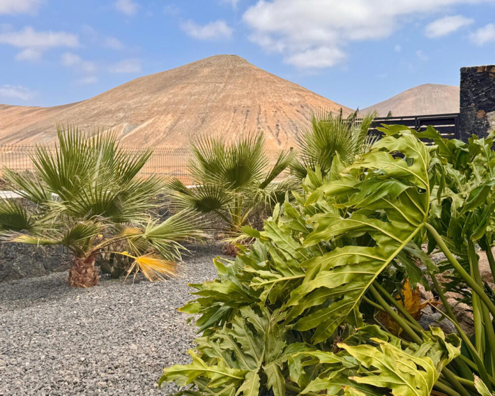 Villa la oliva Fuerteventura for sale 784 13