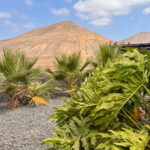 Villa la oliva Fuerteventura for sale 784 13